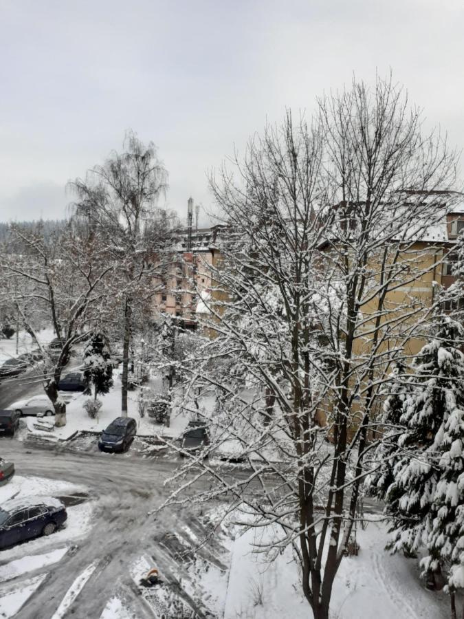 Apartament Ultra Central Marly Gura Humorului Zewnętrze zdjęcie